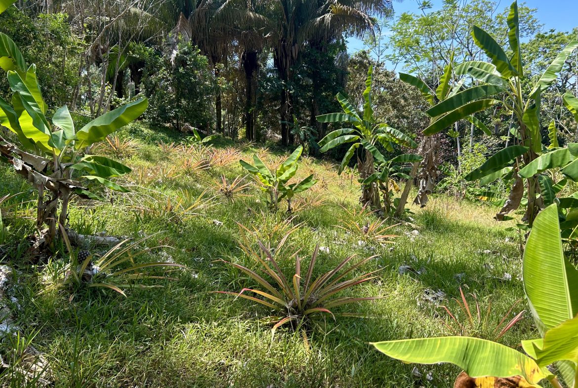 GREAT LOCATION LAND PARCEL IN PLAYA HERMOSA – 1.67 ACRES