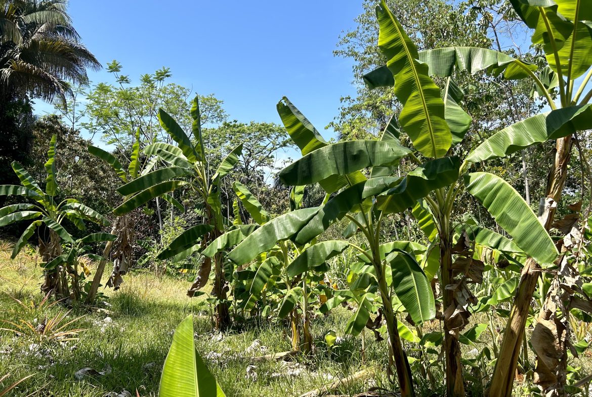 GREAT LOCATION LAND PARCEL IN PLAYA HERMOSA – 1.67 ACRES