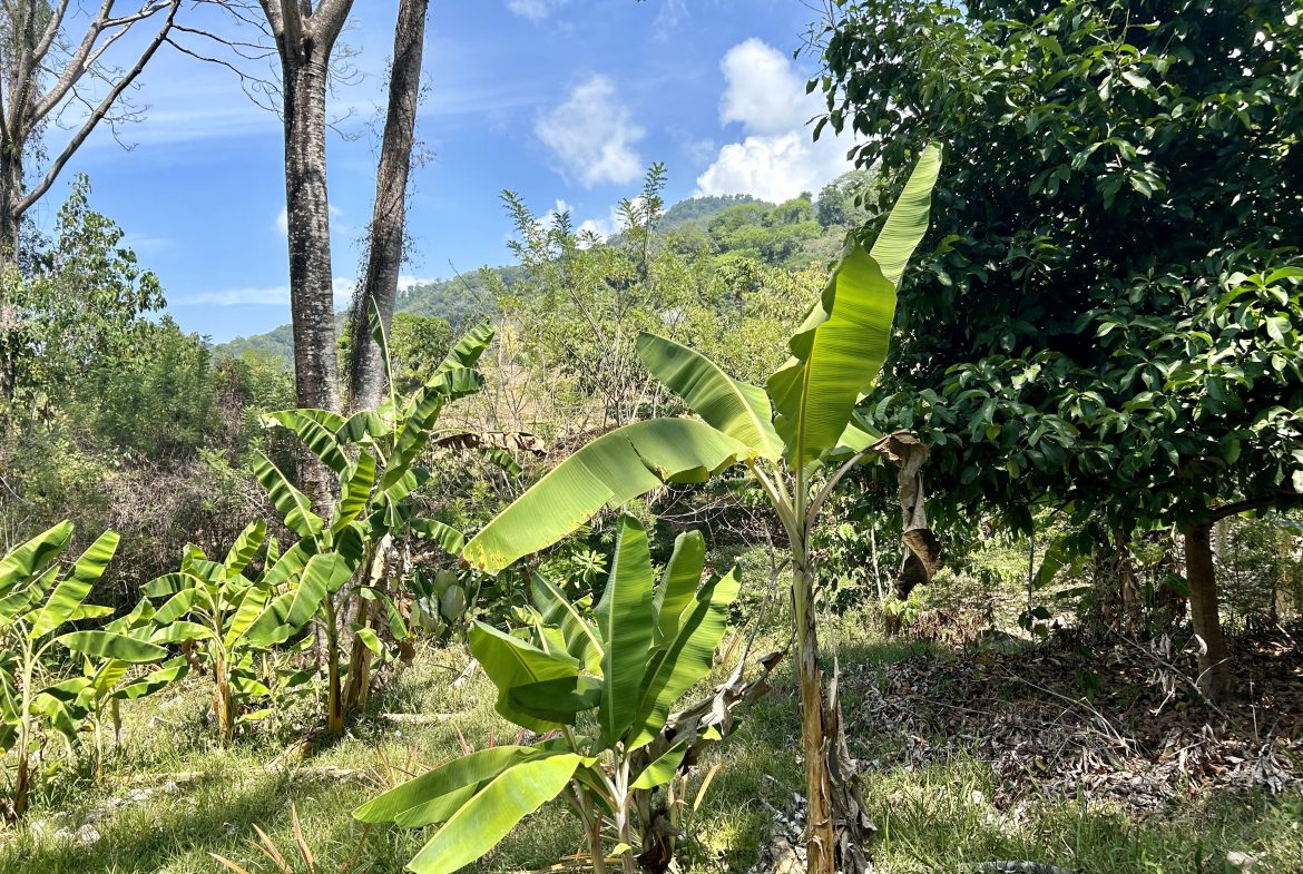 GREAT LOCATION LAND PARCEL IN PLAYA HERMOSA – 1.67 ACRES
