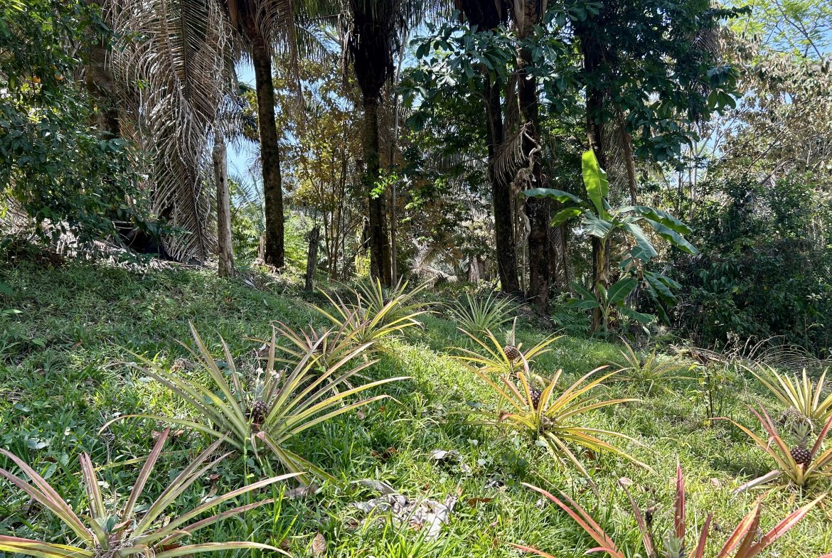 GREAT LOCATION LAND PARCEL IN PLAYA HERMOSA – 1.67 ACRES