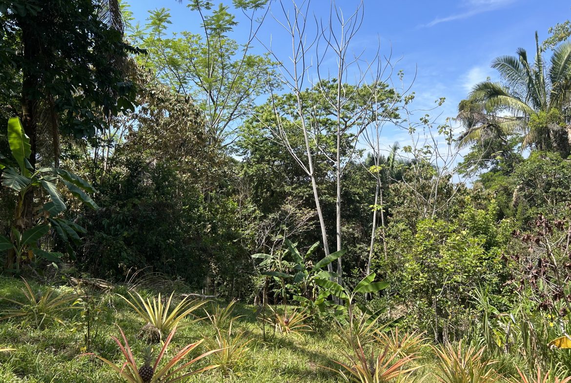 GREAT LOCATION LAND PARCEL IN PLAYA HERMOSA – 1.67 ACRES
