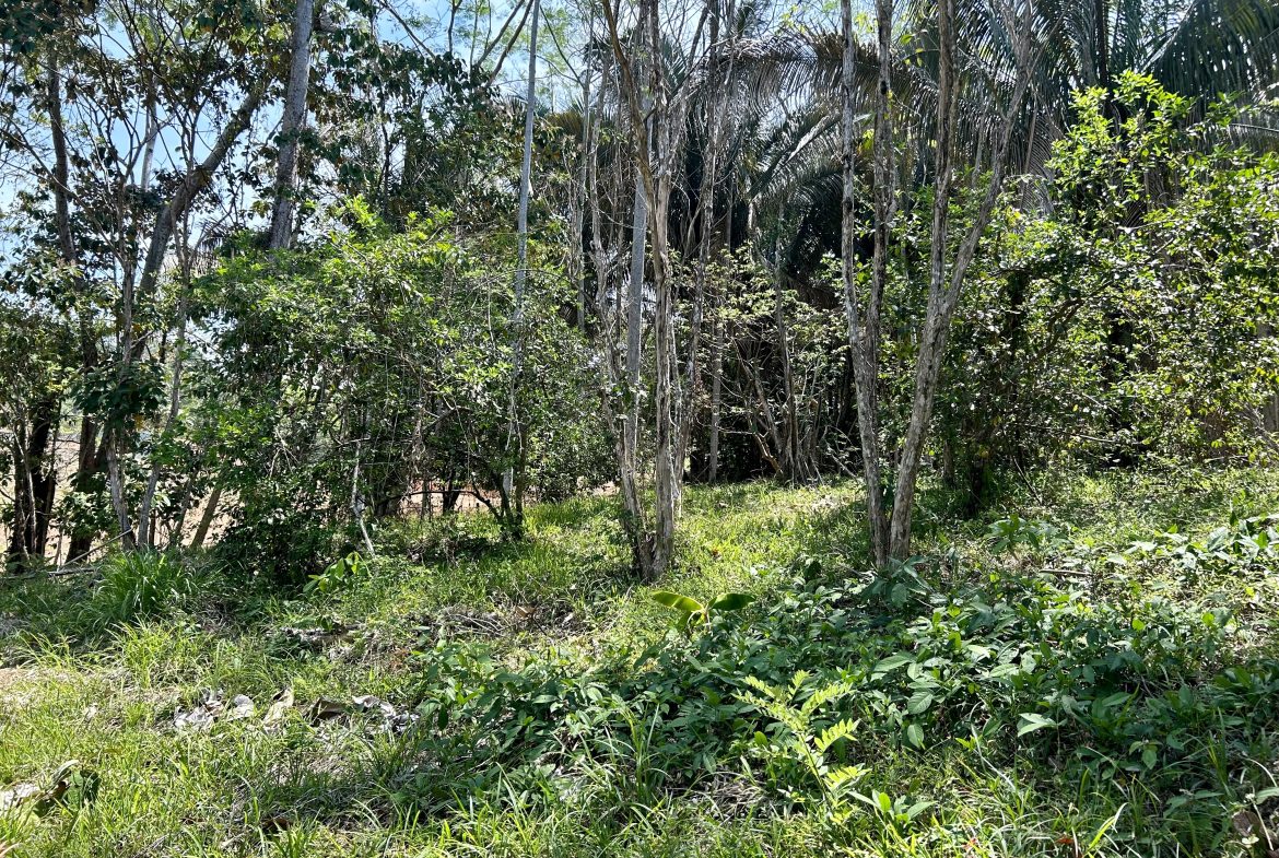 GREAT LOCATION LAND PARCEL IN PLAYA HERMOSA – 1.67 ACRES