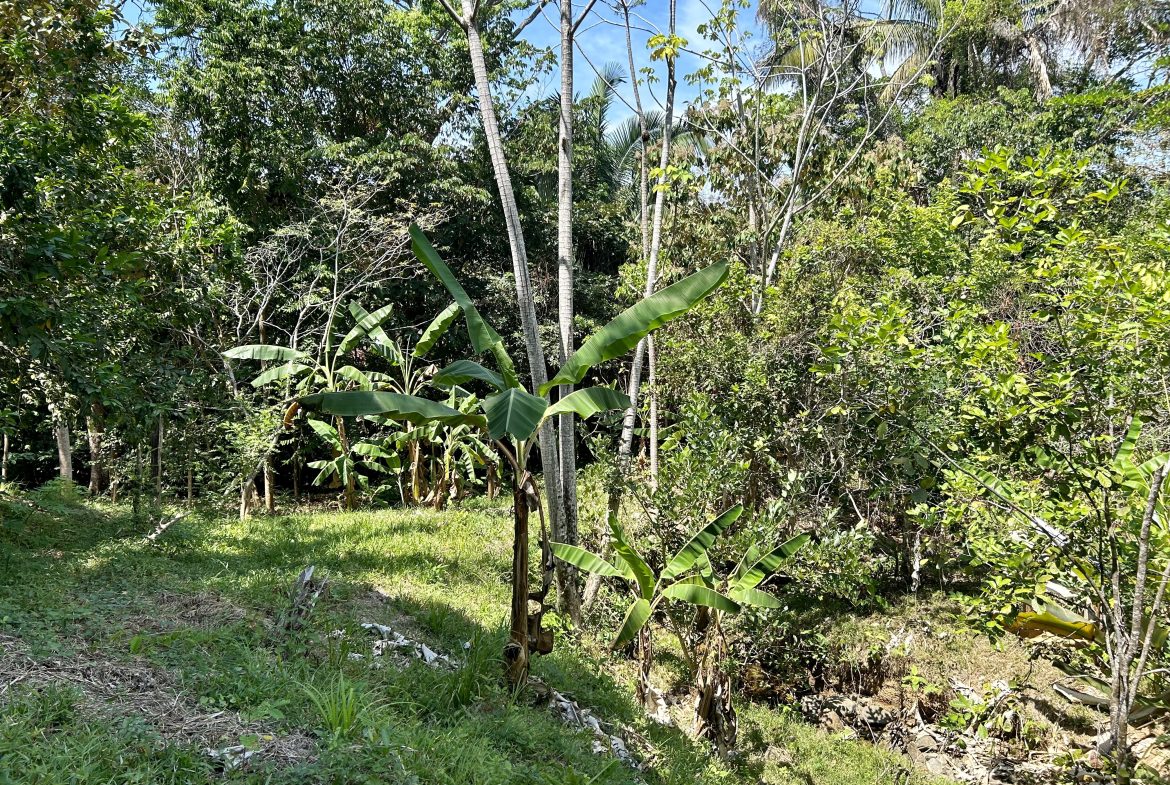 GREAT LOCATION LAND PARCEL IN PLAYA HERMOSA – 1.67 ACRES