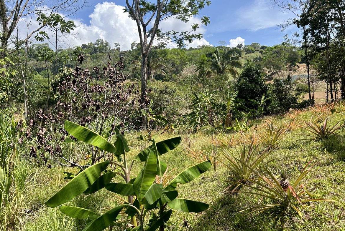 GREAT LOCATION LAND PARCEL IN PLAYA HERMOSA – 1.67 ACRES