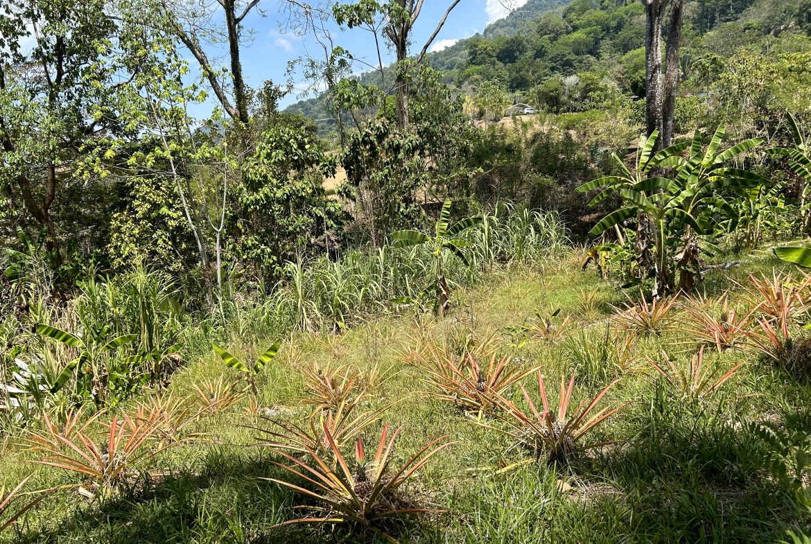 GREAT LOCATION LAND PARCEL IN PLAYA HERMOSA – 1.67 ACRES