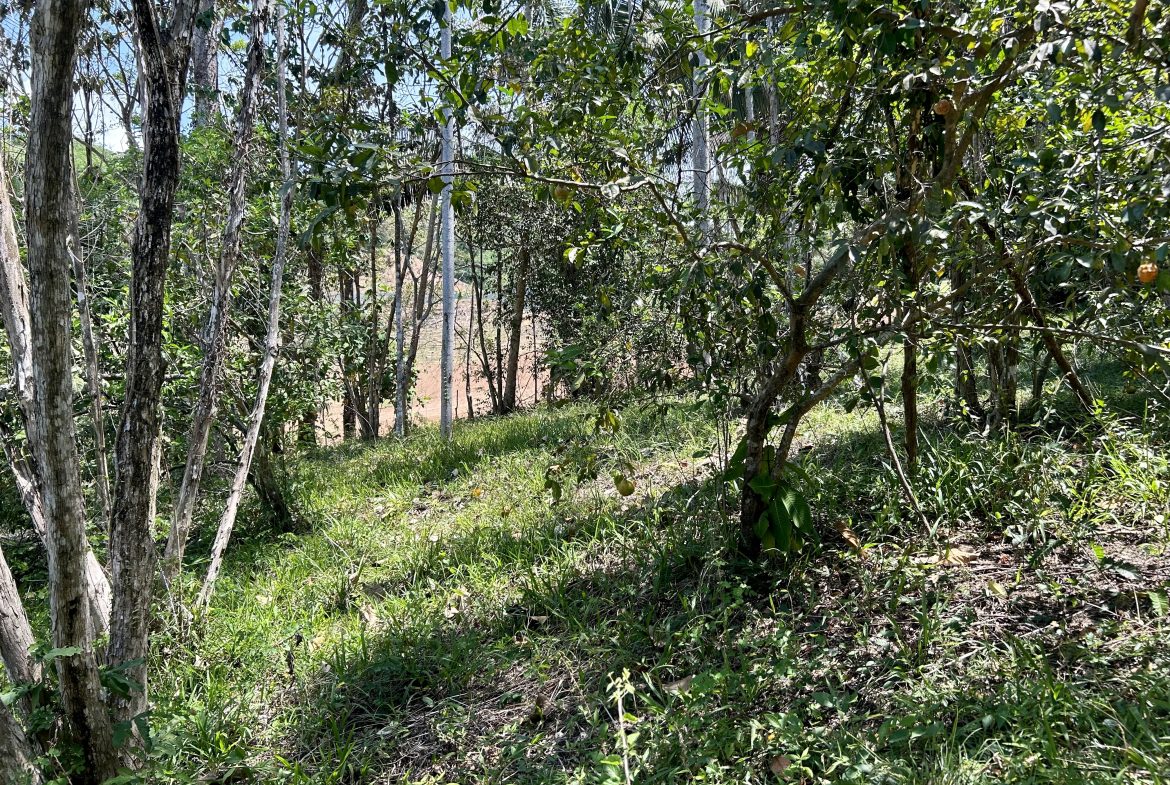 GREAT LOCATION LAND PARCEL IN PLAYA HERMOSA – 1.67 ACRES