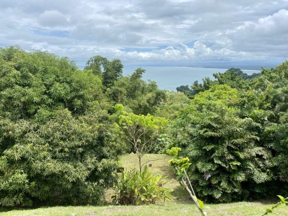 Development Land in Manuel Antonio – 15 Acres, Manuel Antonio, Costa Rica — photo 4