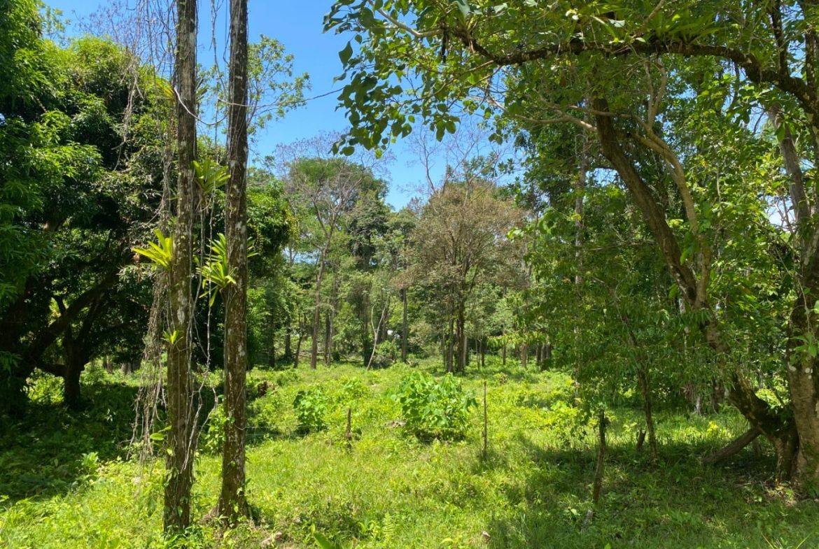 Development Opportunity in Ojochal – 22 Acres