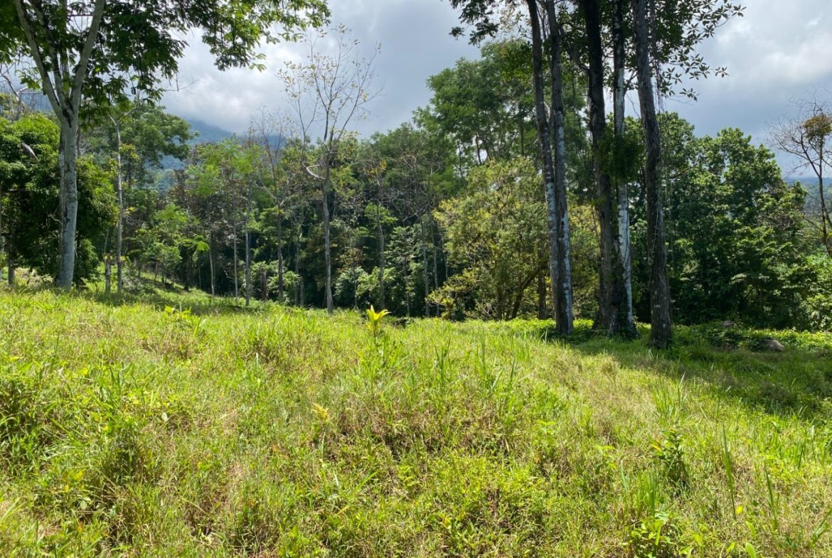 Development Opportunity in Ojochal – 22 Acres
