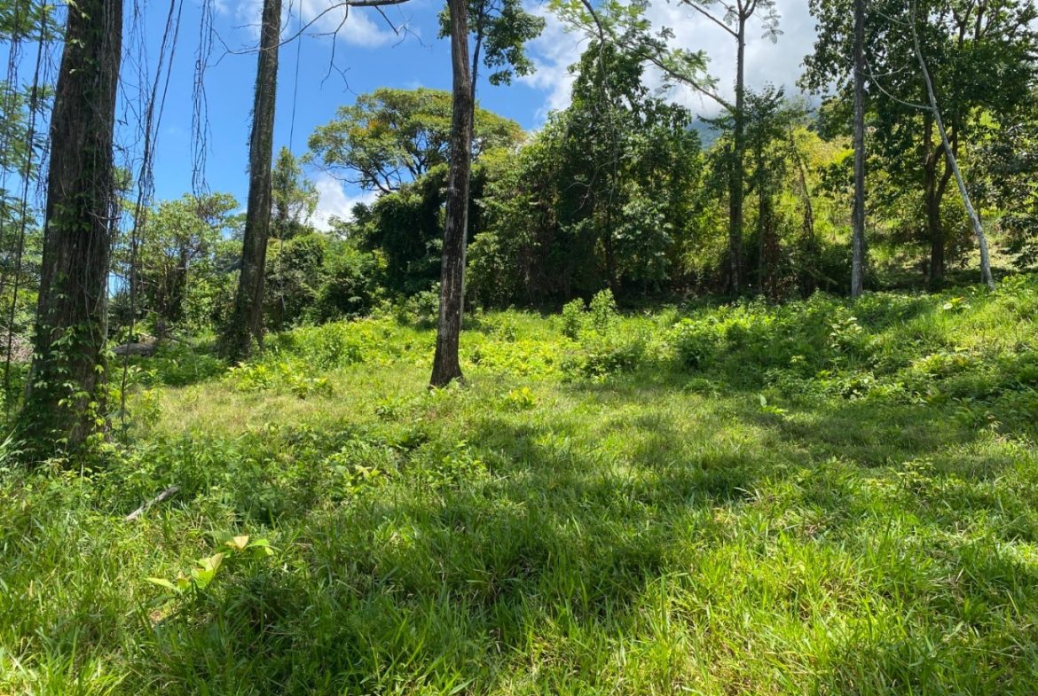 Development Opportunity in Ojochal – 22 Acres