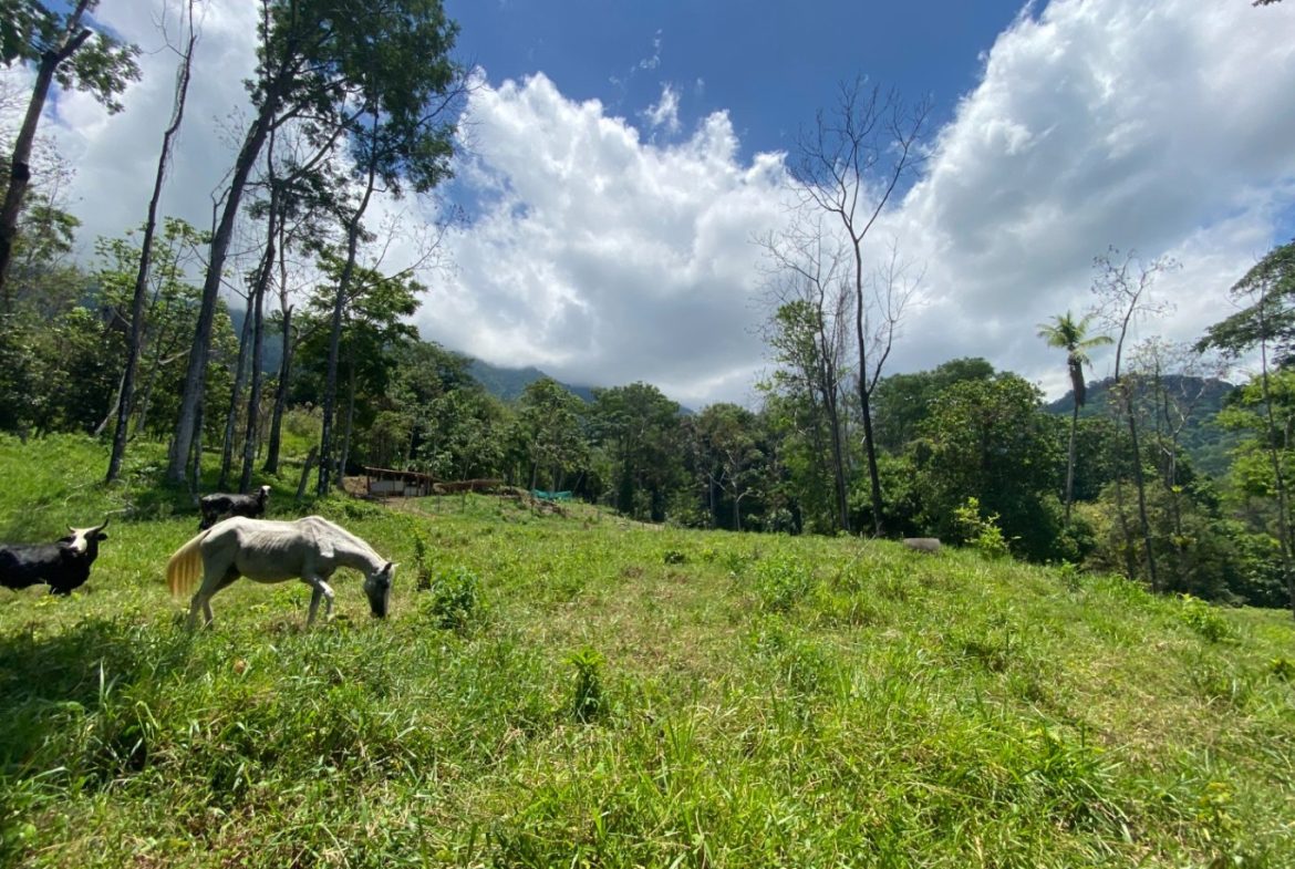 Development Opportunity in Ojochal – 22 Acres