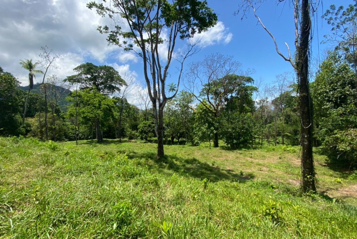 Development Opportunity in Ojochal – 22 Acres