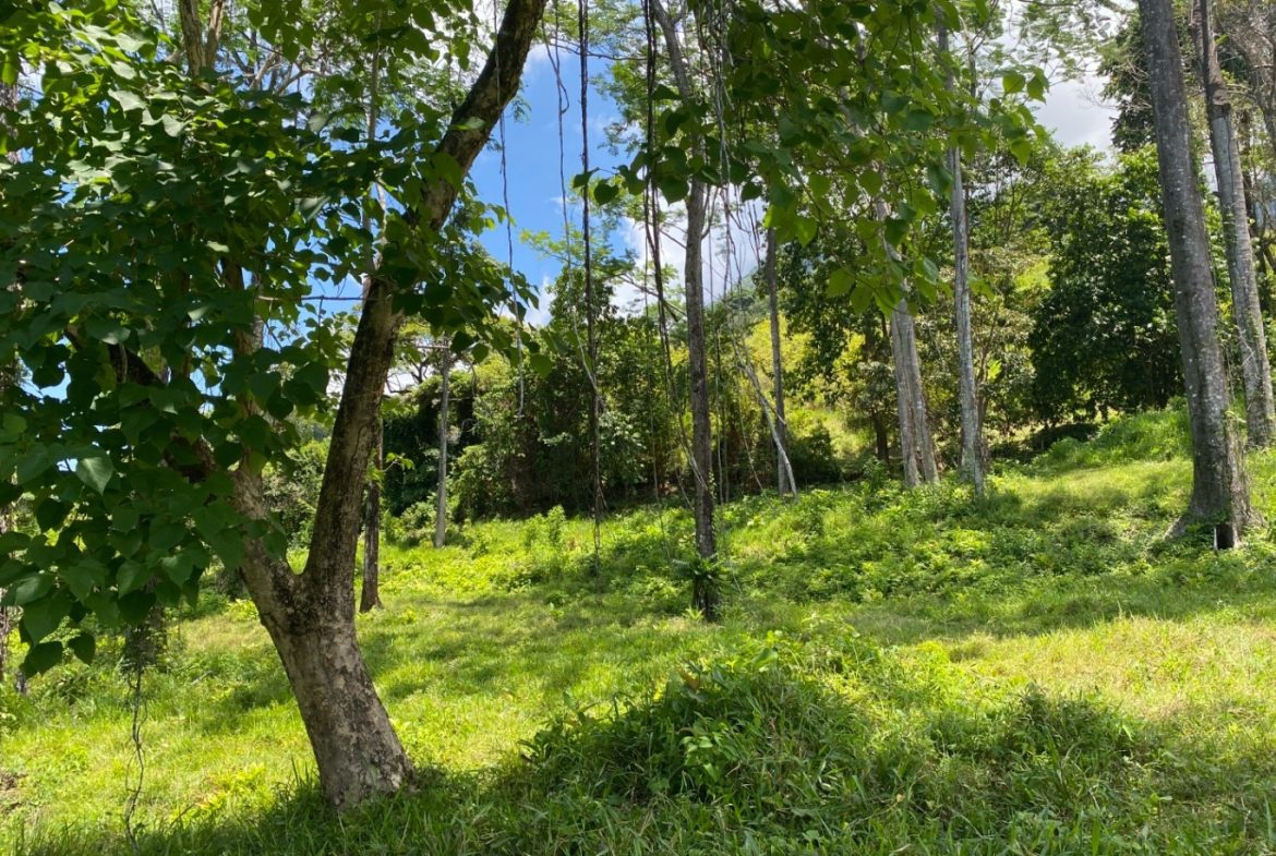 Development Opportunity in Ojochal – 22 Acres
