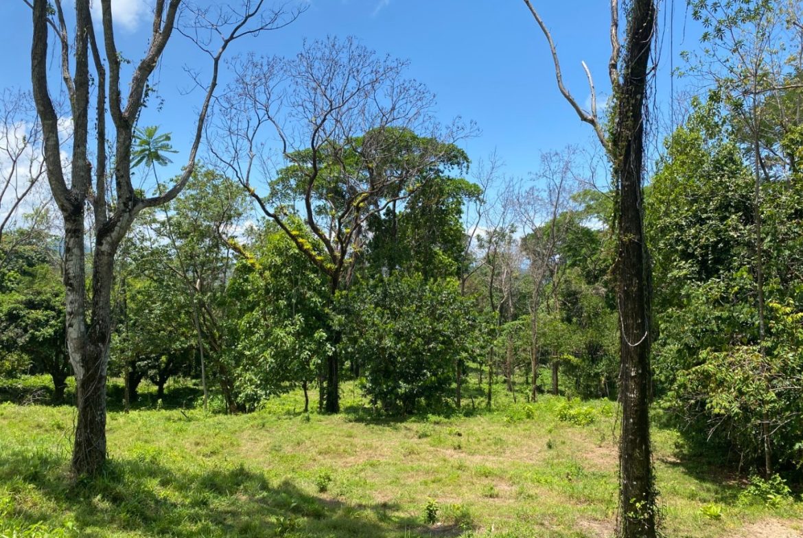 Development Opportunity in Ojochal – 22 Acres