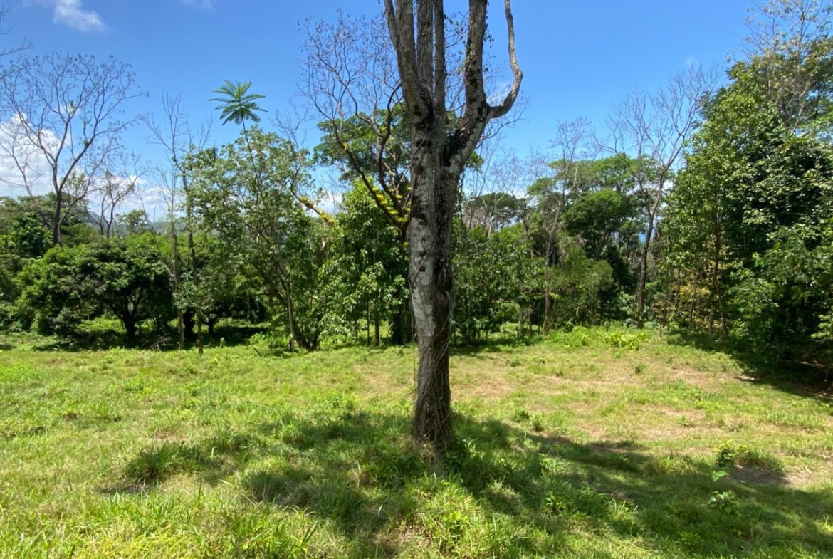 Development Opportunity in Ojochal – 22 Acres