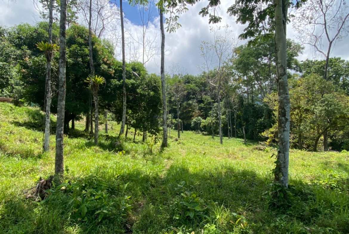 Development Opportunity in Ojochal – 22 Acres