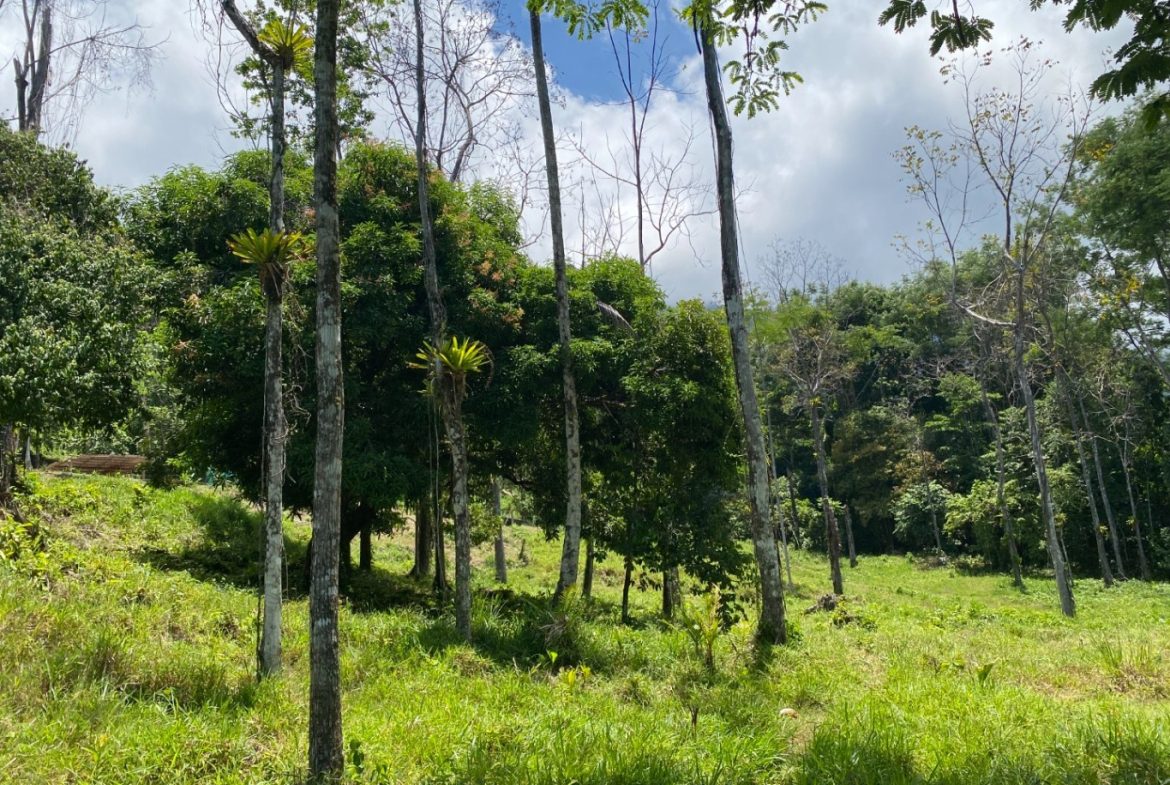 Development Opportunity in Ojochal – 22 Acres