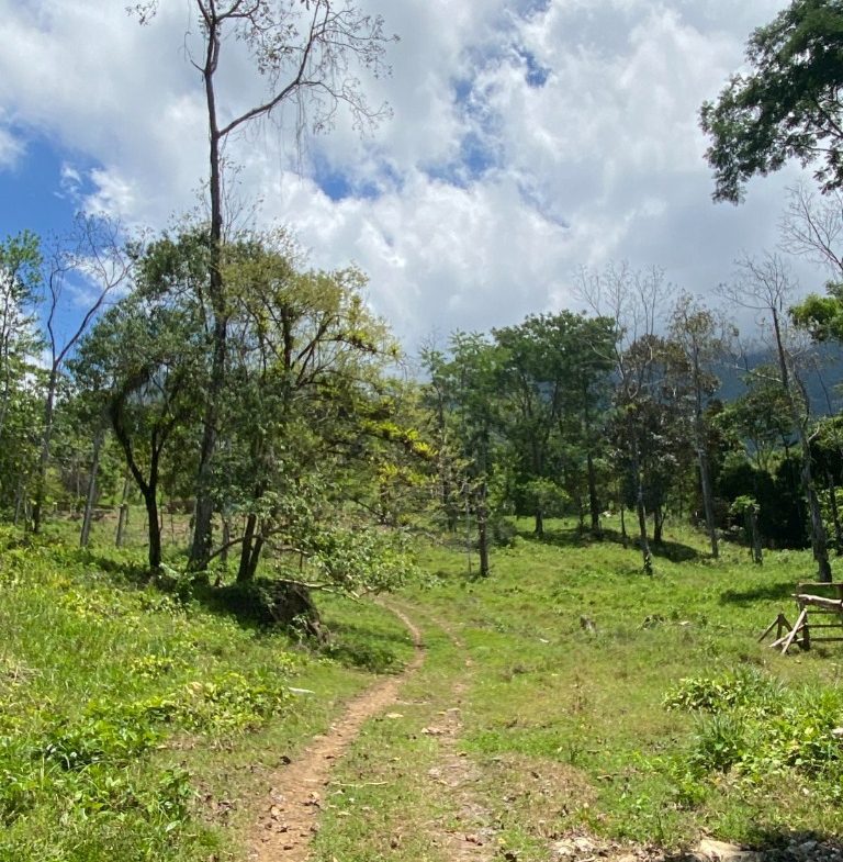 Development Opportunity in Ojochal – 22 Acres