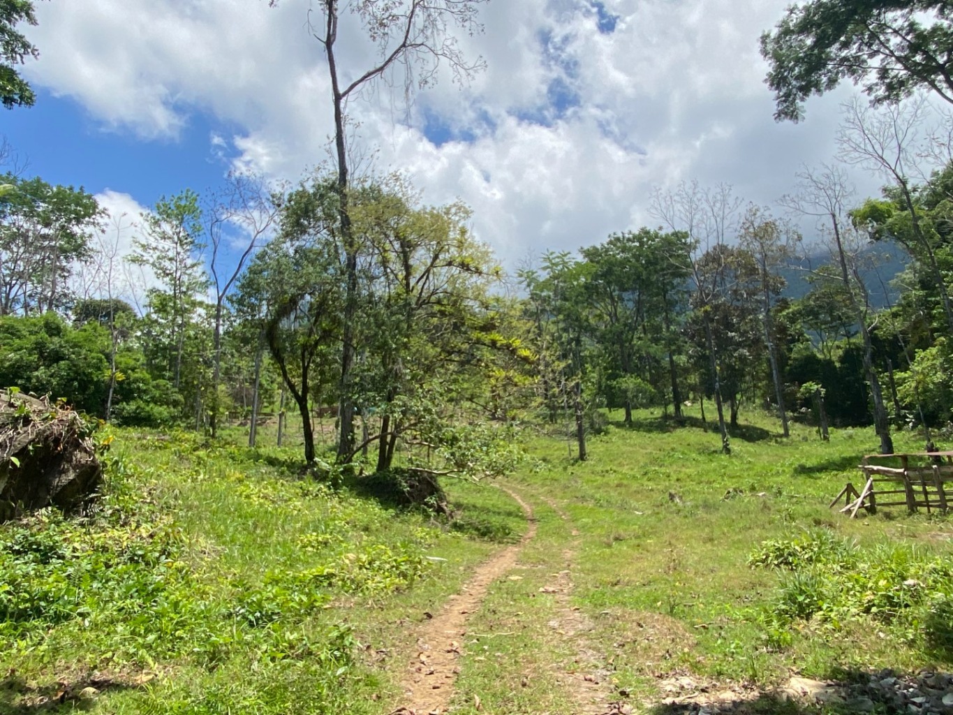 IMG_9471 Development Opportunity in Ojochal – 22 Acres