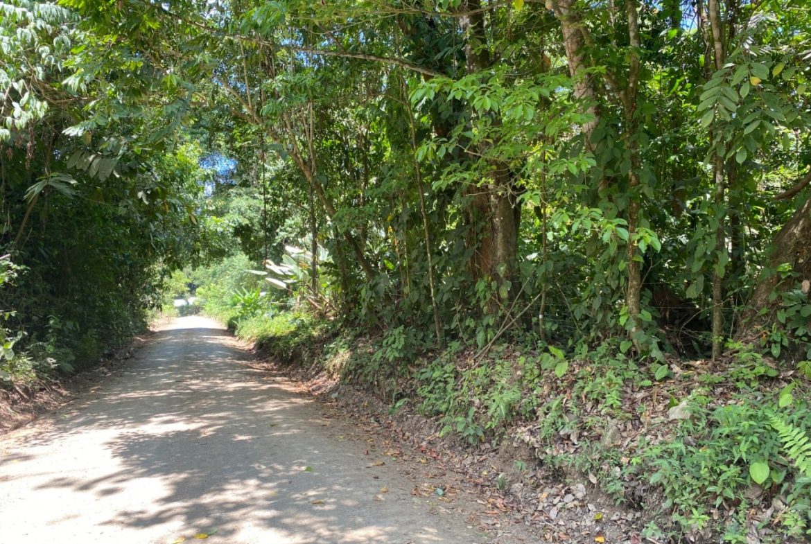 Development Opportunity in Ojochal – 22 Acres
