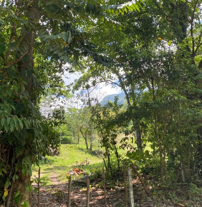 Development Opportunity in Ojochal – 22 Acres