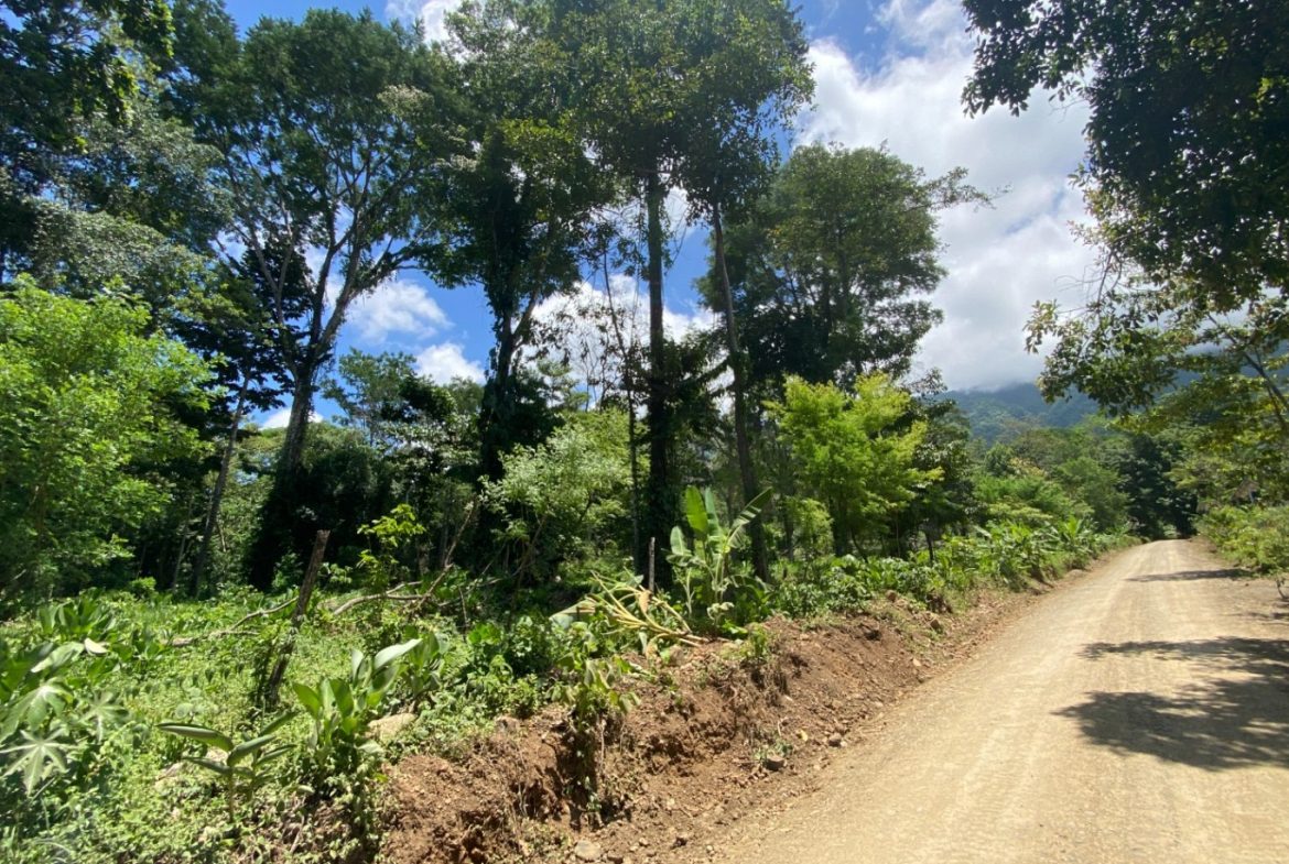Development Opportunity in Ojochal – 22 Acres