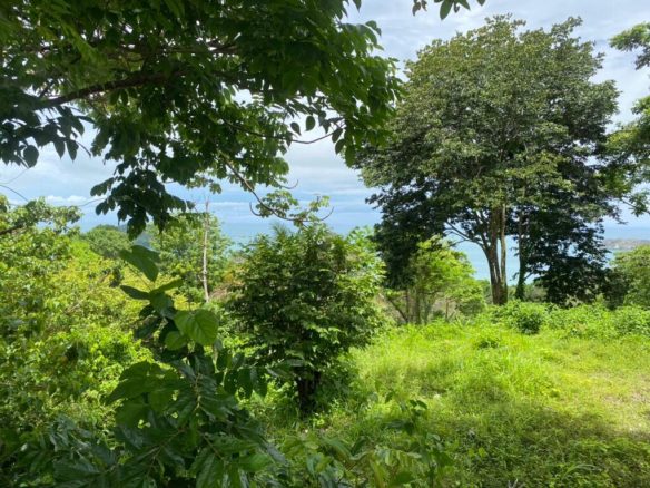 Development Land in Manuel Antonio – 15 Acres, Manuel Antonio, Costa Rica — photo 5