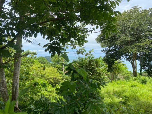 Development Land in Manuel Antonio – 15 Acres, Manuel Antonio, Costa Rica — photo 6