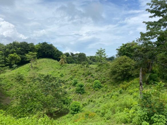 Development Land in Manuel Antonio – 15 Acres, Manuel Antonio, Costa Rica — photo 8