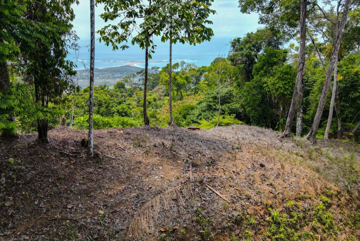 Whale Tail View Lot in Uvita Dominical Property Costa Rica