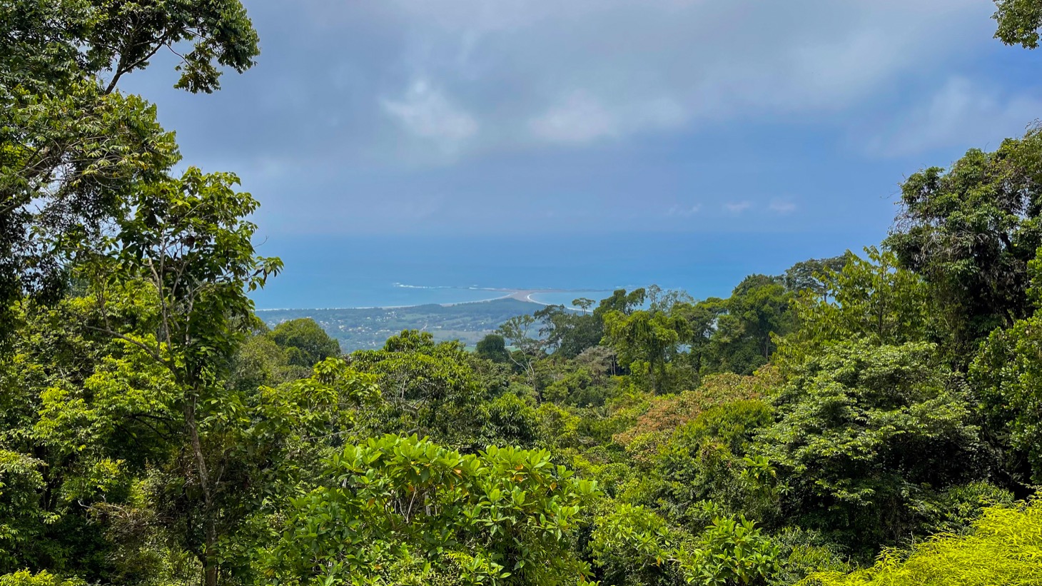 Whale Tail View Lot in Uvita Dominical Property Costa Rica