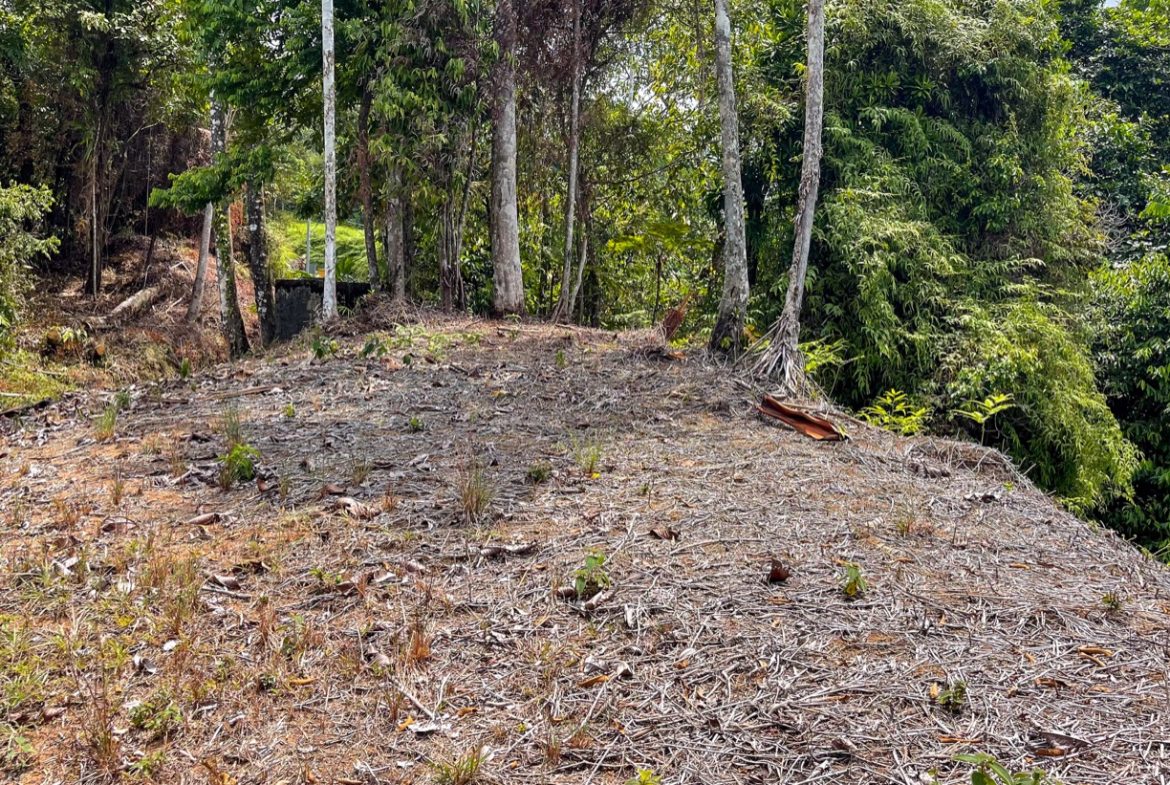 Whale Tail View Lot in Uvita Dominical Property Costa Rica