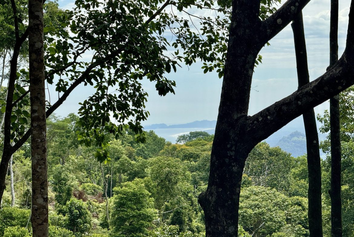 OCEAN AND FOREST VIEW PROPERTY MINUTES TO THE BEACH – 5.11 ACRES