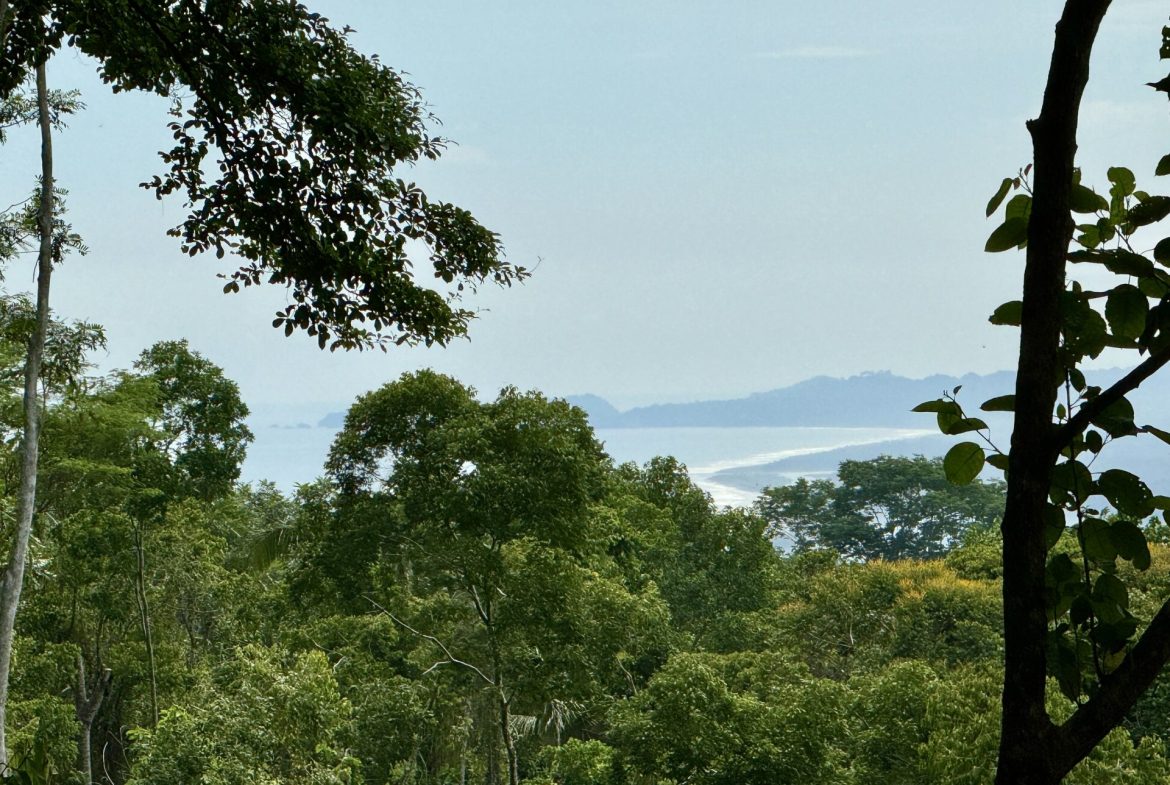OCEAN AND FOREST VIEW PROPERTY MINUTES TO THE BEACH – 5.11 ACRES