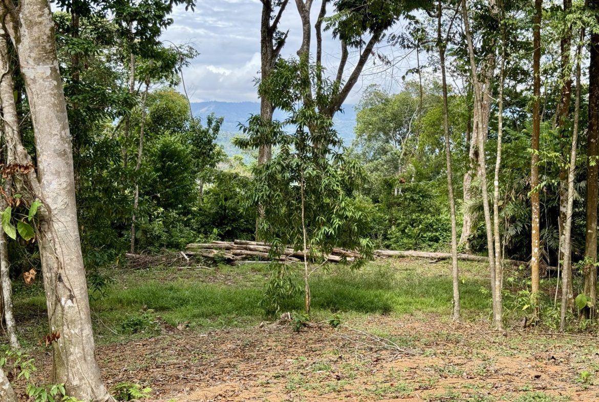 OCEAN AND FOREST VIEW PROPERTY MINUTES TO THE BEACH – 5.11 ACRES