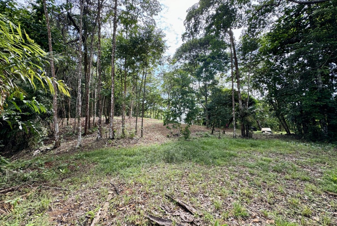 OCEAN AND FOREST VIEW PROPERTY MINUTES TO THE BEACH – 5.11 ACRES