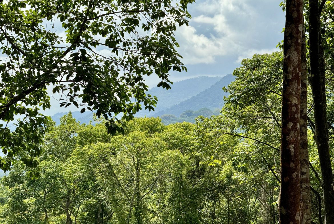 OCEAN AND FOREST VIEW PROPERTY MINUTES TO THE BEACH – 5.11 ACRES