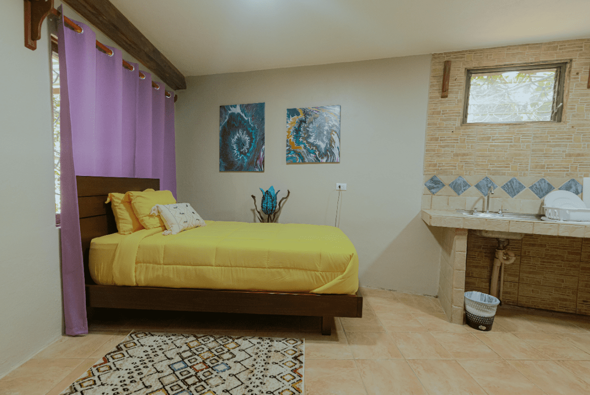 12 BEDROOM HOTEL IN MANUEL ANTONIO