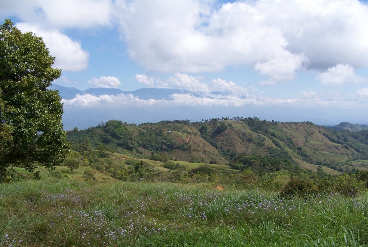 EXCEPTIONAL SOUTHERN PACIFIC COAST PROPERTY WITH SPECTACULAR VIEWS AND UNLIMITED POTENTIAL – 79 ACRES