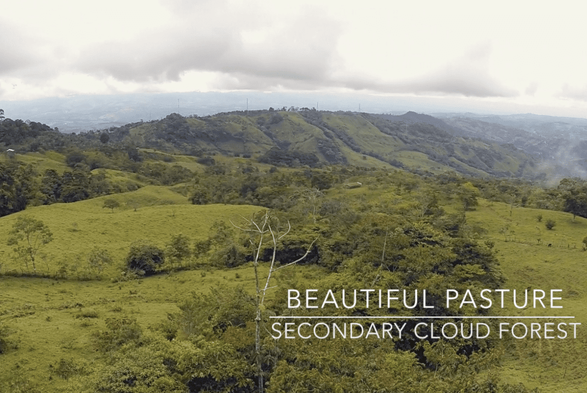 EXCEPTIONAL SOUTHERN PACIFIC COAST PROPERTY WITH SPECTACULAR VIEWS AND UNLIMITED POTENTIAL – 79 ACRES