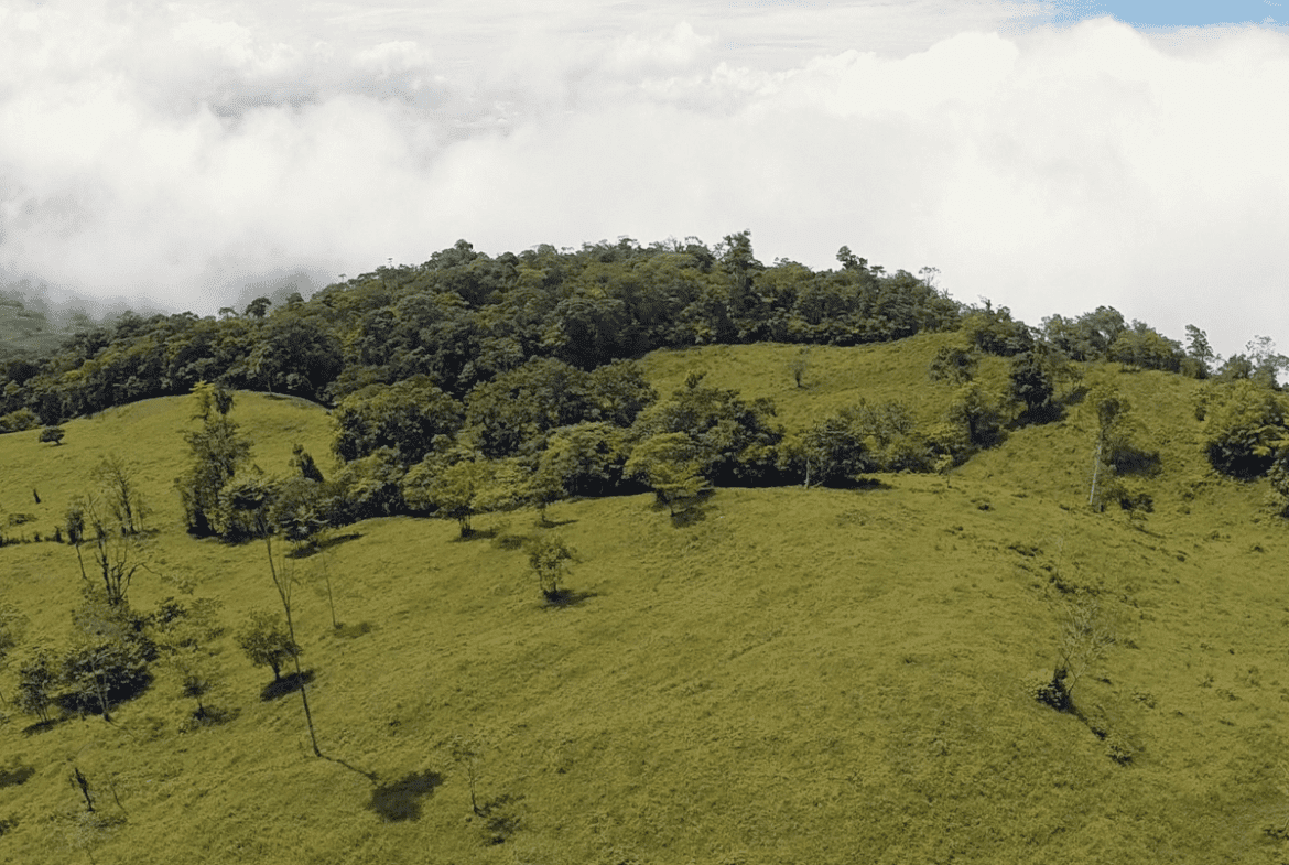 EXCEPTIONAL SOUTHERN PACIFIC COAST PROPERTY WITH SPECTACULAR VIEWS AND UNLIMITED POTENTIAL – 79 ACRES