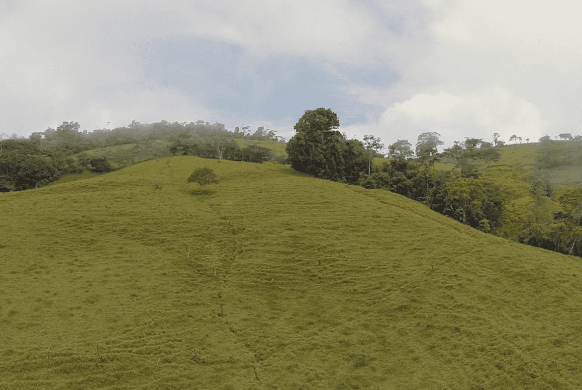 EXCEPTIONAL SOUTHERN PACIFIC COAST PROPERTY WITH SPECTACULAR VIEWS AND UNLIMITED POTENTIAL – 79 ACRES