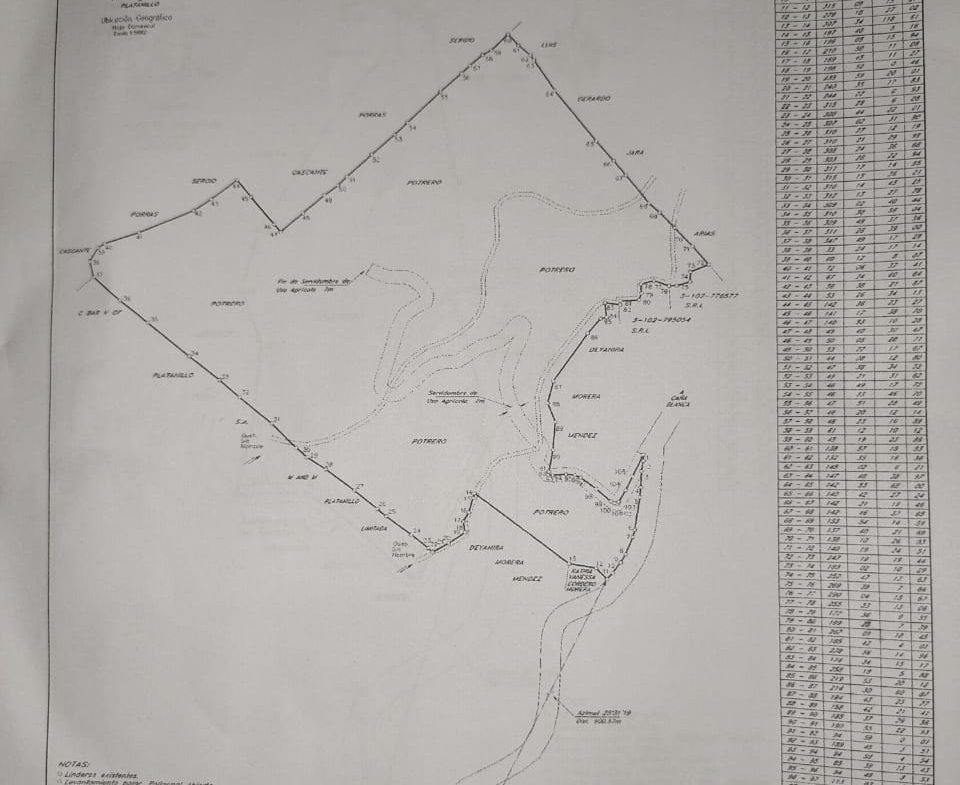 BEAUTIFUL MOUNTAIN VIEW FARM WITH MANY WATER SOURCES AND MANY BUILDING AREAS – 41 ACRES