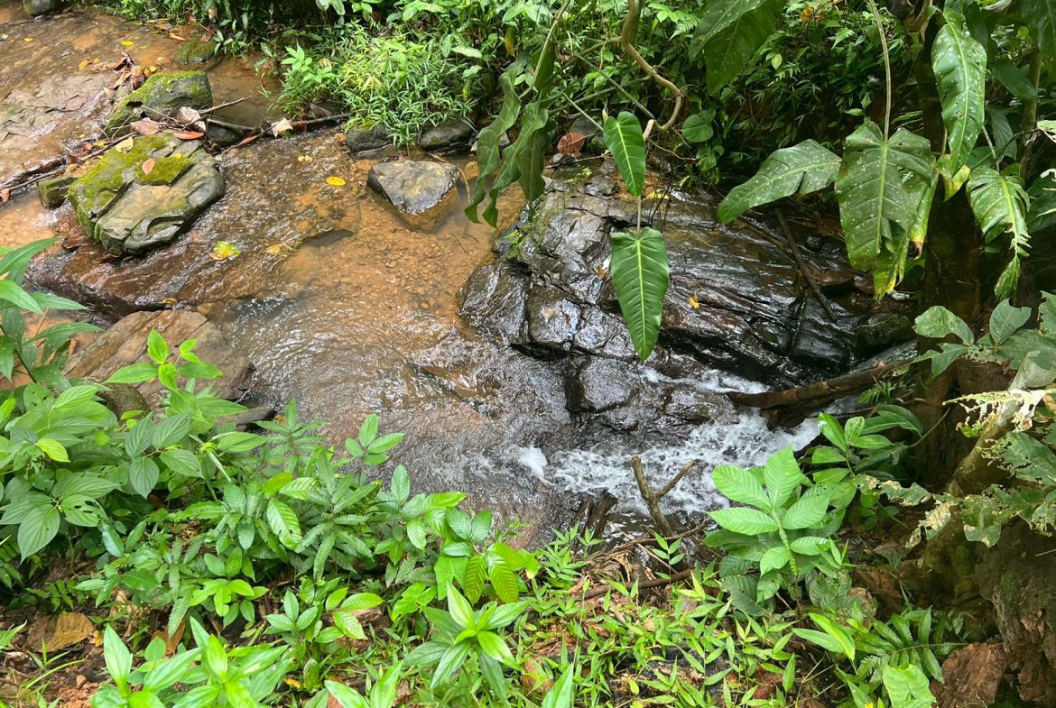 BEAUTIFUL MOUNTAIN VIEW FARM WITH MANY WATER SOURCES AND MANY BUILDING AREAS – 41 ACRES