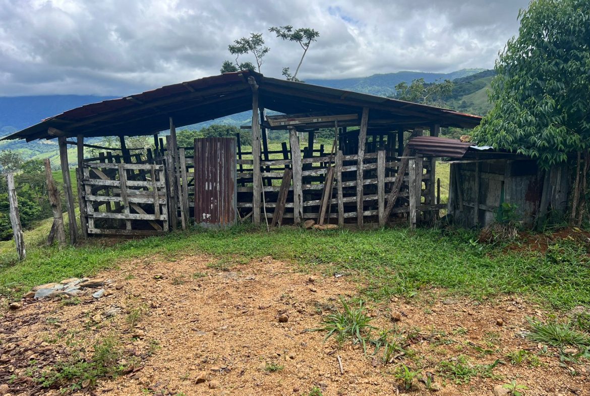 BEAUTIFUL MOUNTAIN VIEW FARM WITH MANY WATER SOURCES AND MANY BUILDING AREAS – 41 ACRES