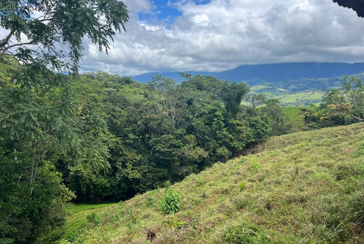 BEAUTIFUL MOUNTAIN VIEW FARM WITH MANY WATER SOURCES AND MANY BUILDING AREAS – 41 ACRES
