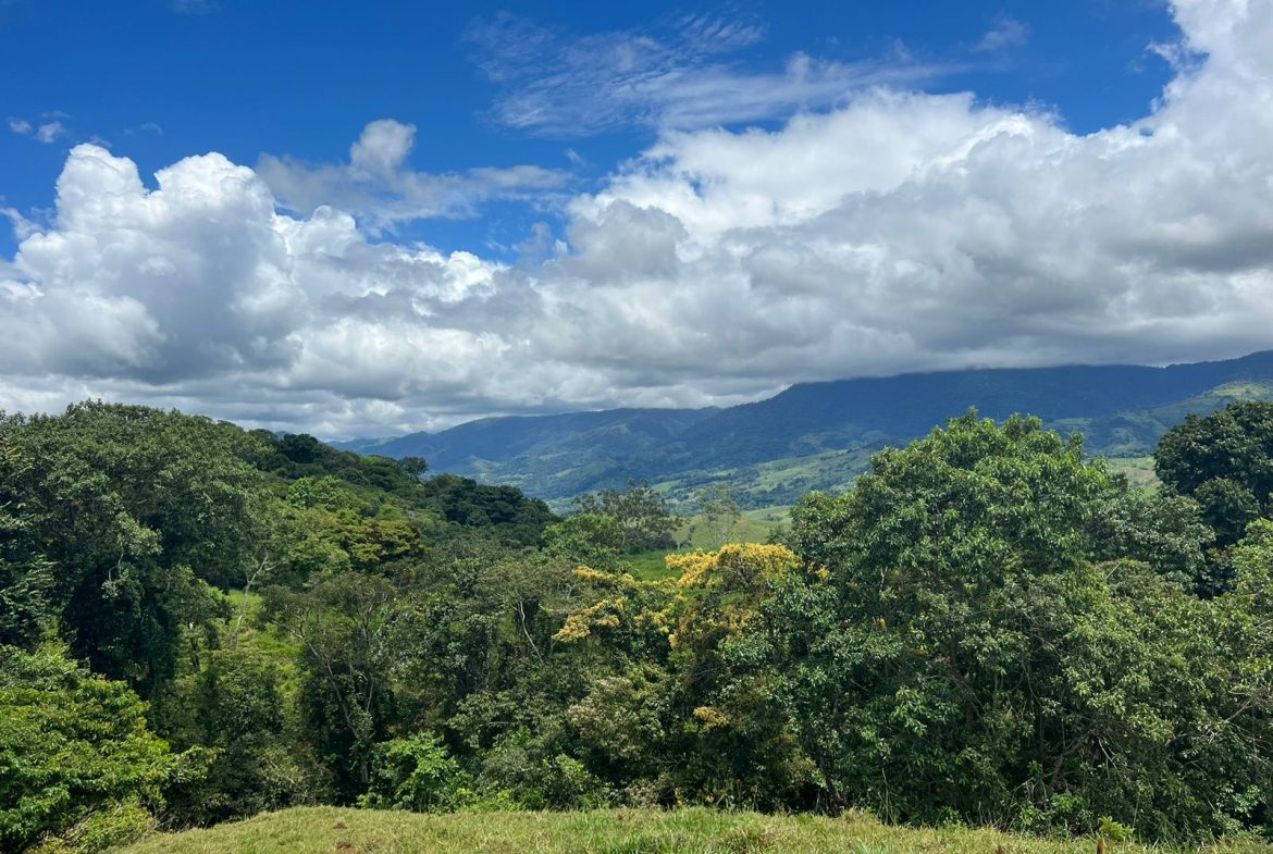 BEAUTIFUL MOUNTAIN VIEW FARM WITH MANY WATER SOURCES AND MANY BUILDING AREAS – 41 ACRES