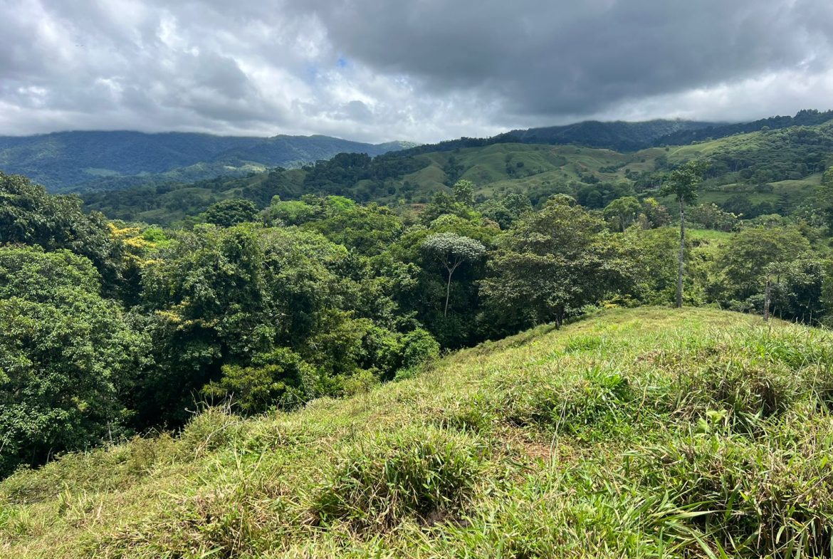 BEAUTIFUL MOUNTAIN VIEW FARM WITH MANY WATER SOURCES AND MANY BUILDING AREAS – 41 ACRES