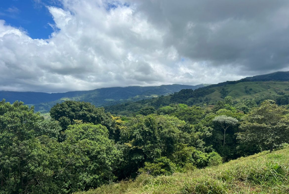 BEAUTIFUL MOUNTAIN VIEW FARM WITH MANY WATER SOURCES AND MANY BUILDING AREAS – 41 ACRES