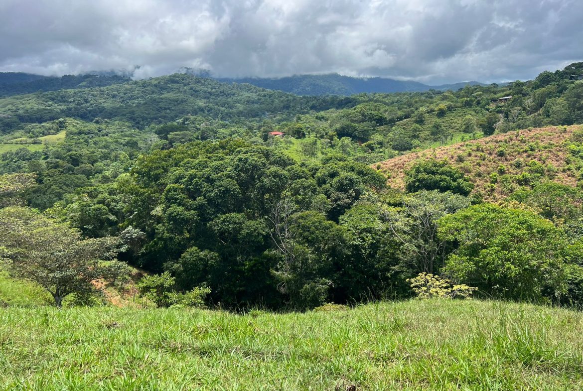 BEAUTIFUL MOUNTAIN VIEW FARM WITH MANY WATER SOURCES AND MANY BUILDING AREAS – 41 ACRES